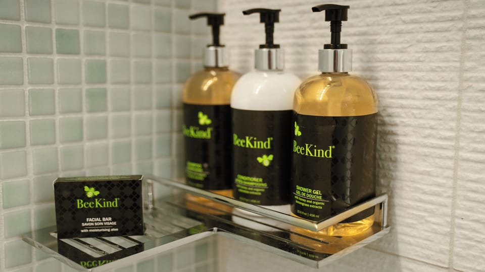 Rainfall showerhead, eco-friendly toiletries, hair dryer, bathrobes