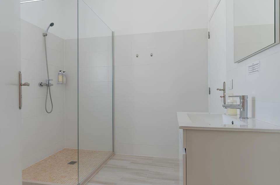 Deluxe Room | Bathroom | Shower, hair dryer, towels, shampoo