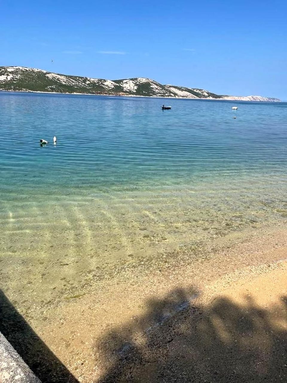 Studio, 1 Bedroom, Accessible, Smoking | Beach