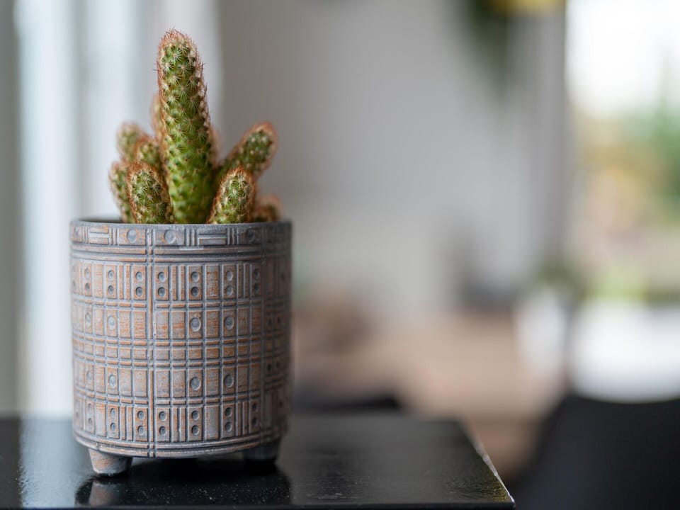 House | Interior detail