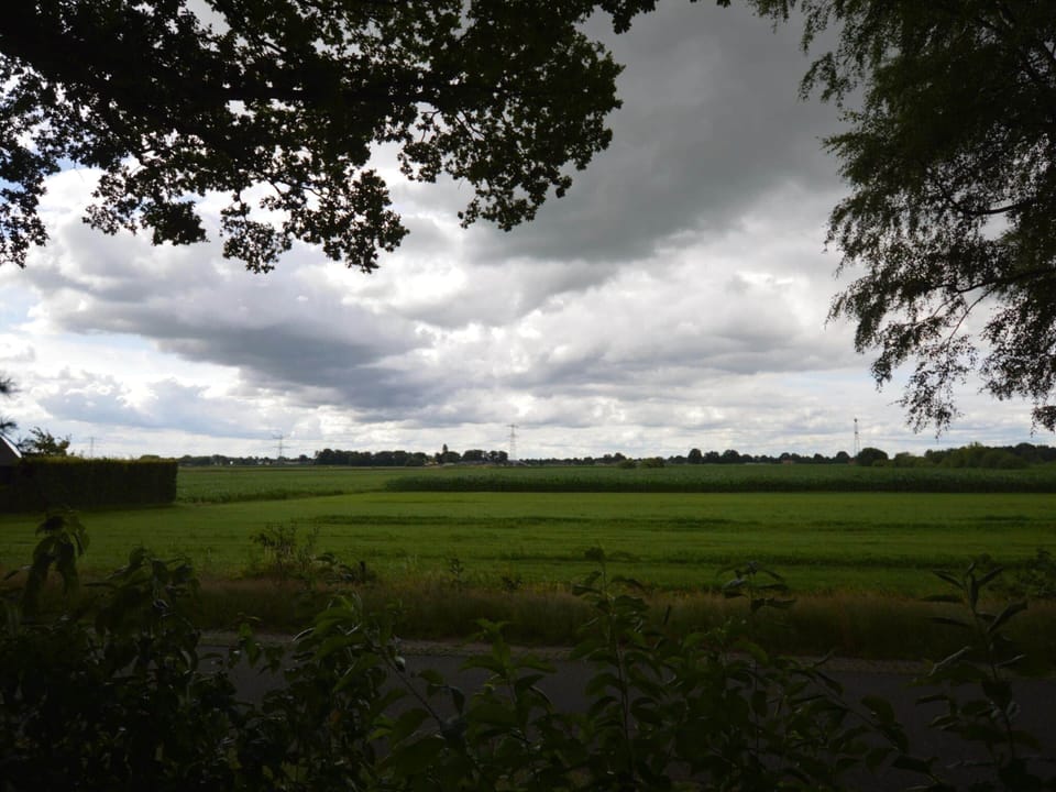 House | View from property