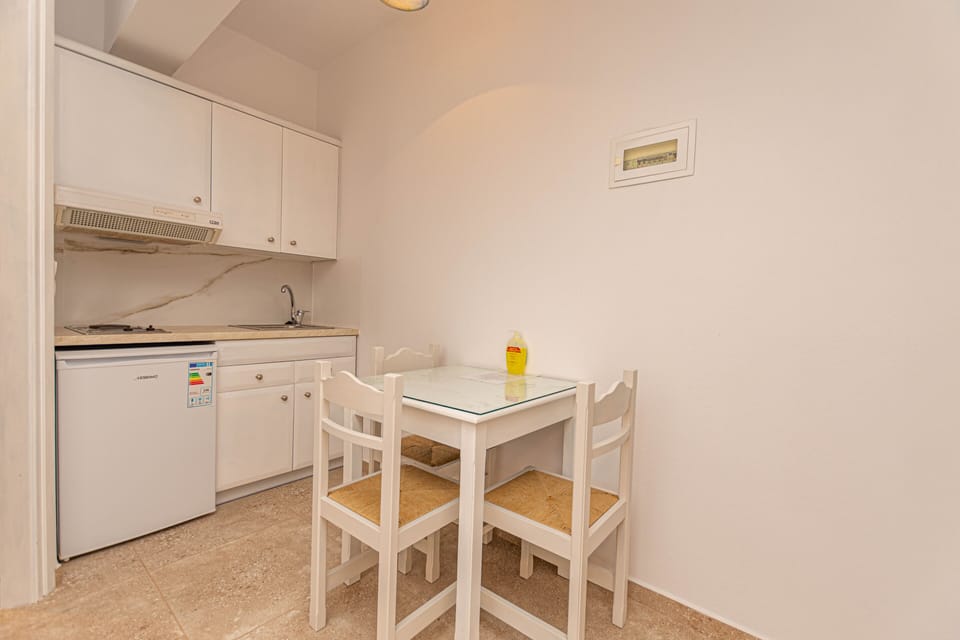 Comfort Triple Room | Private kitchen | Stovetop, cookware/dishes/utensils, cleaning supplies