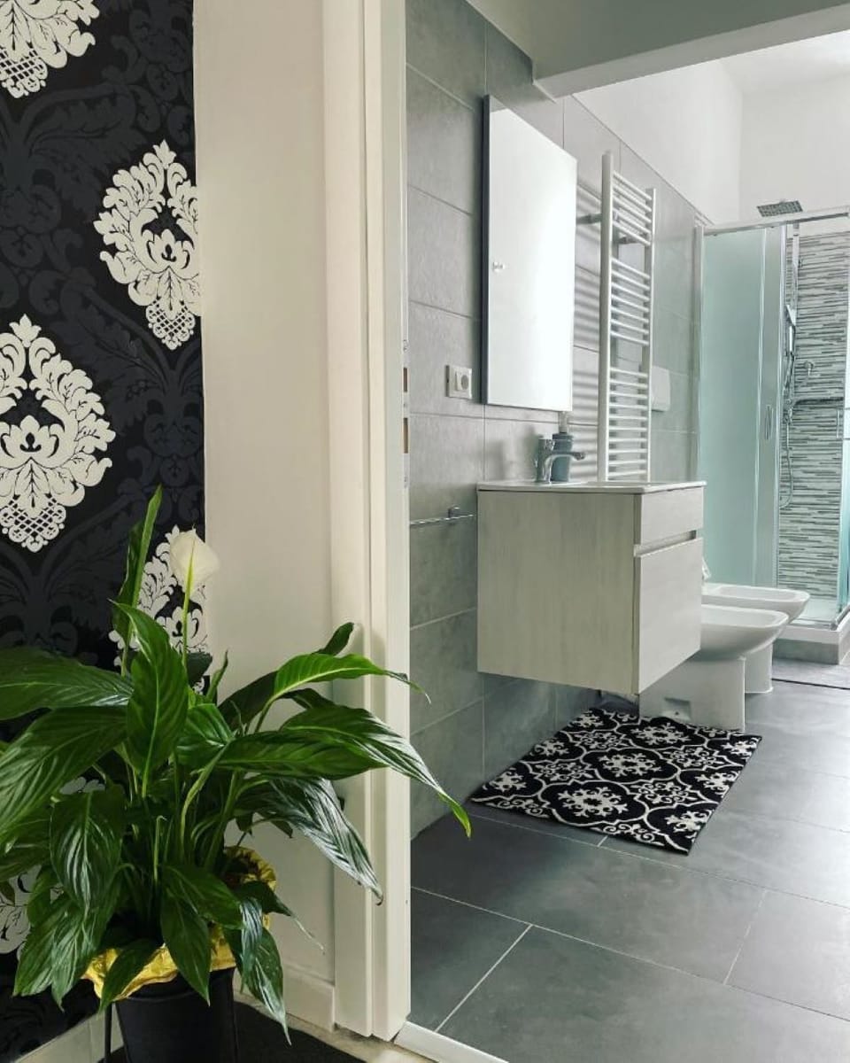Shower, hydromassage showerhead, free toiletries, hair dryer