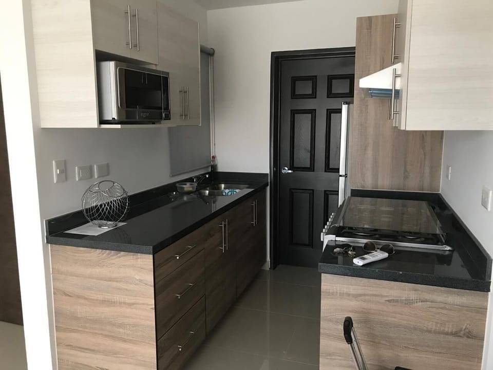 Comfort Apartment | Private kitchen | Fridge