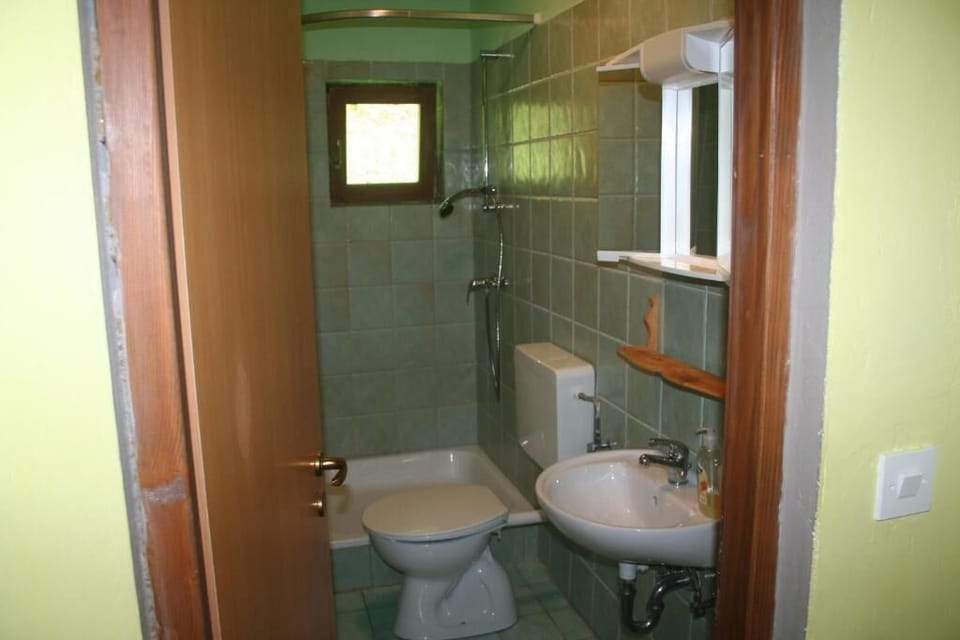 Shower, towels, soap, toilet paper