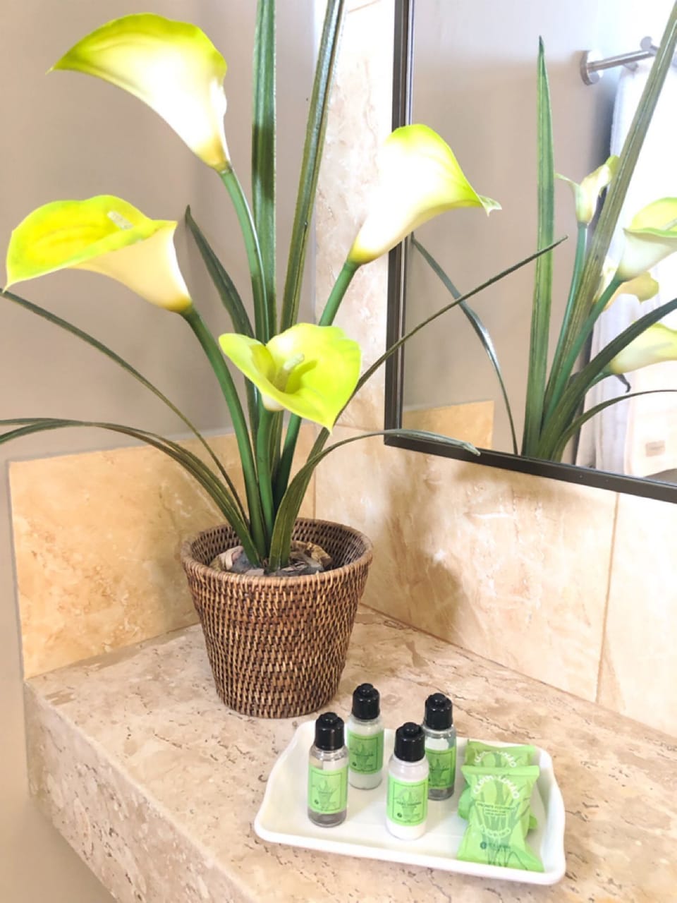 Deluxe Double Room, Pool View | Bathroom | Hydromassage showerhead, free toiletries, hair dryer, towels