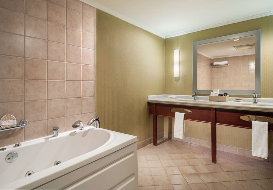 Executive Suite | Bathroom | Free toiletries, hair dryer, slippers, towels