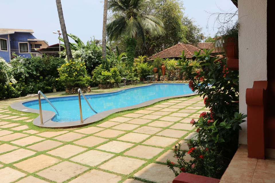 Outdoor pool, open 8:00 AM to 6:00 PM, pool umbrellas, sun loungers
