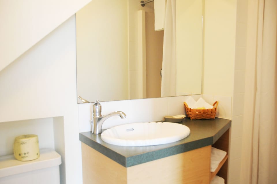 Room, 1 King Bed | Bathroom | Free toiletries, hair dryer, towels, soap