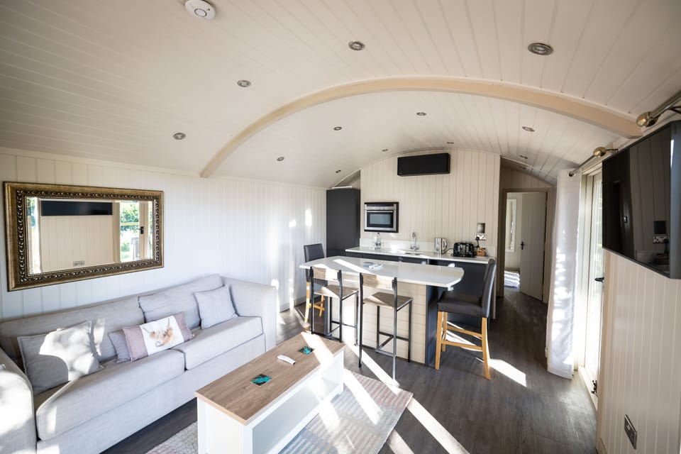 Luxury Cabin | Living area | 39-inch Smart TV with digital channels, TV, Netflix