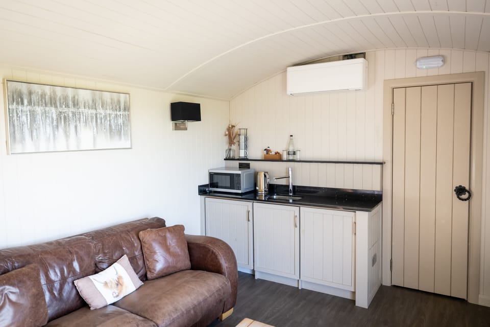 Deluxe Cabin | Living area | 39-inch Smart TV with digital channels, TV, Netflix