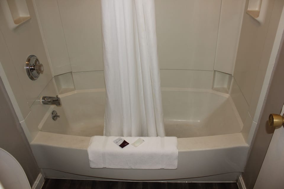 Combined shower/tub, free toiletries, hair dryer, towels