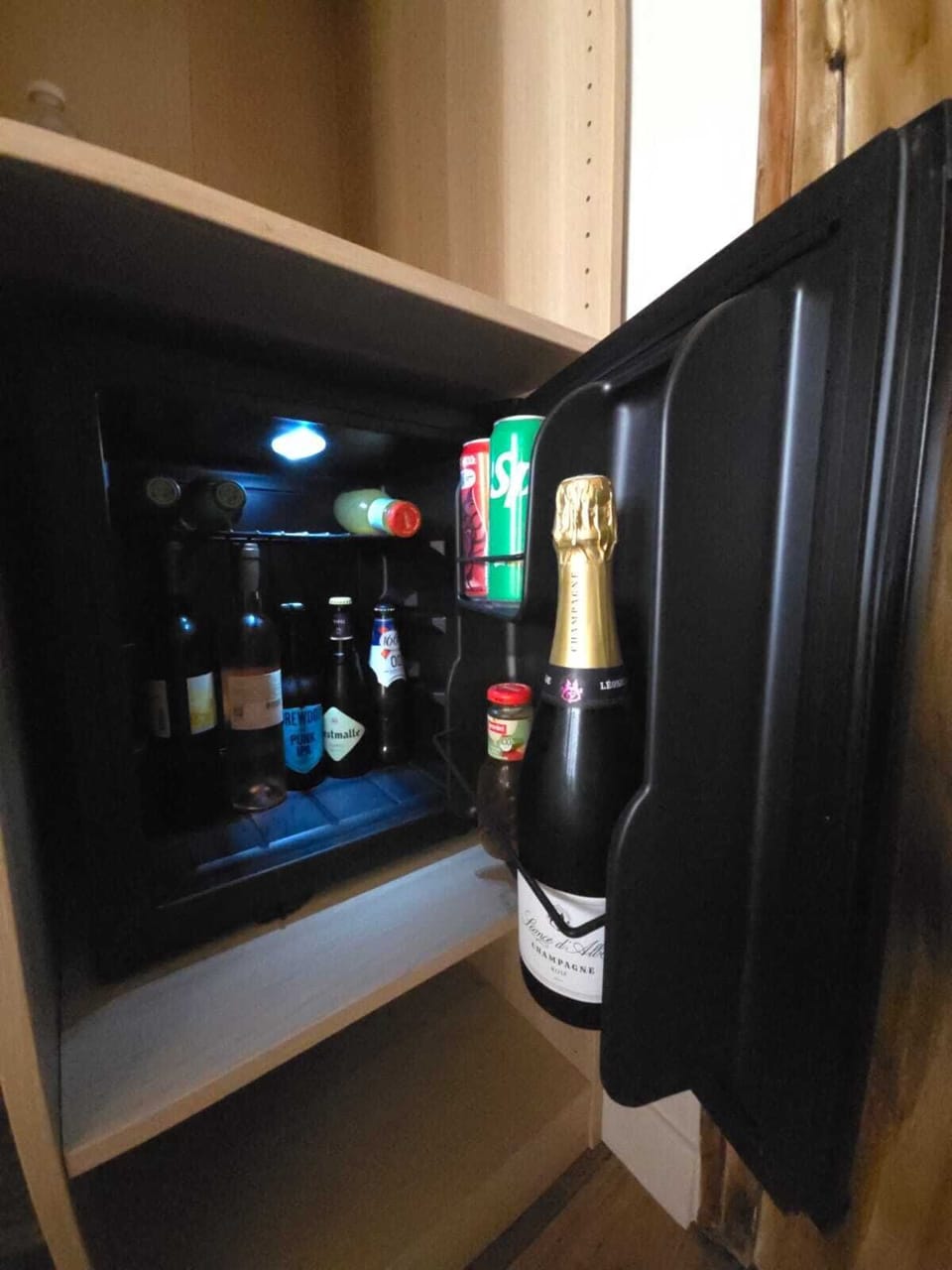 Mini-refrigerator