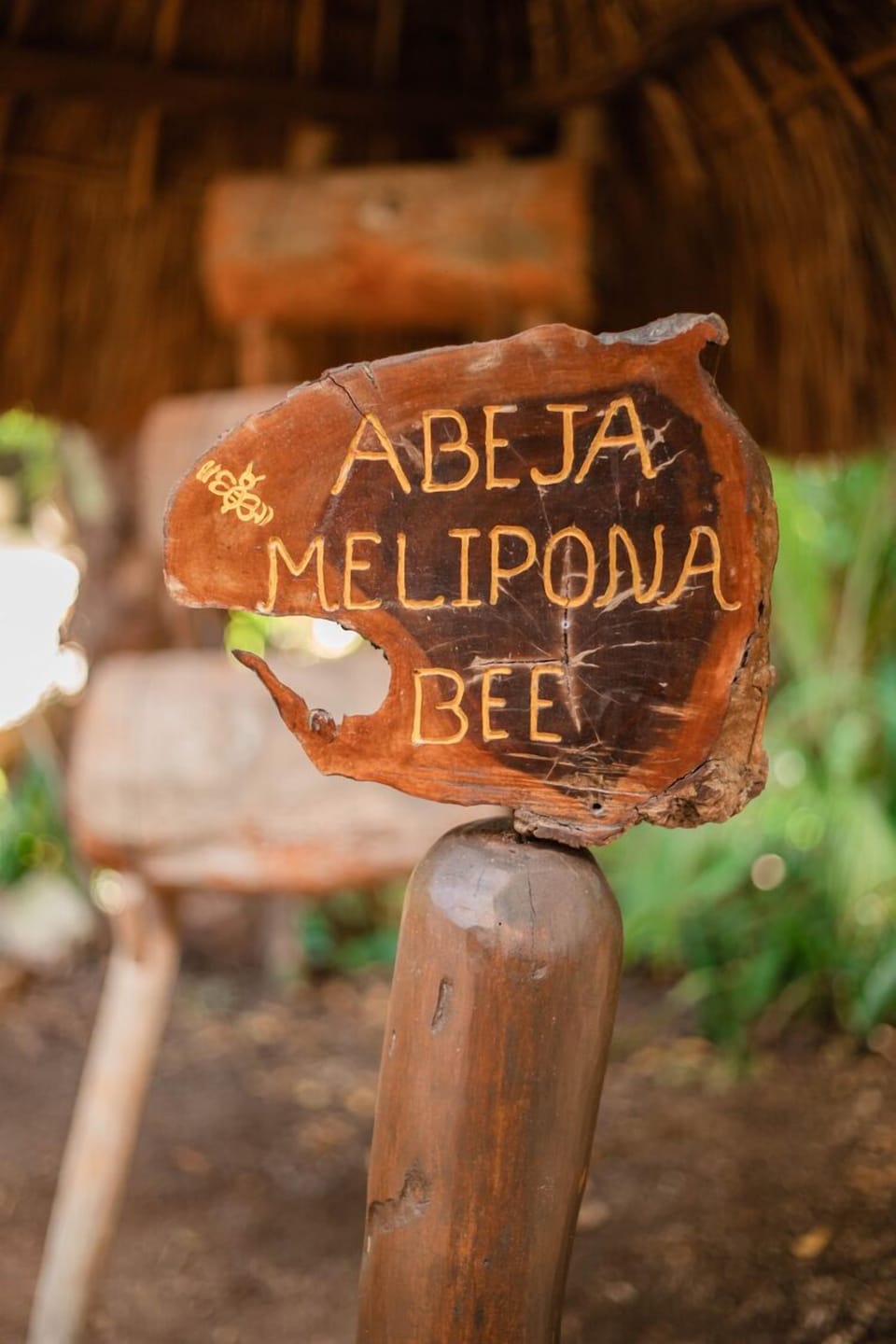 Couples treatment rooms, sauna, hot tub, body treatments, aromatherapy