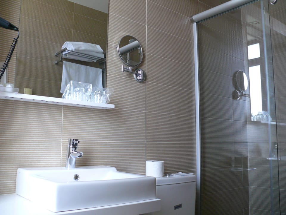 Shower, hair dryer, towels