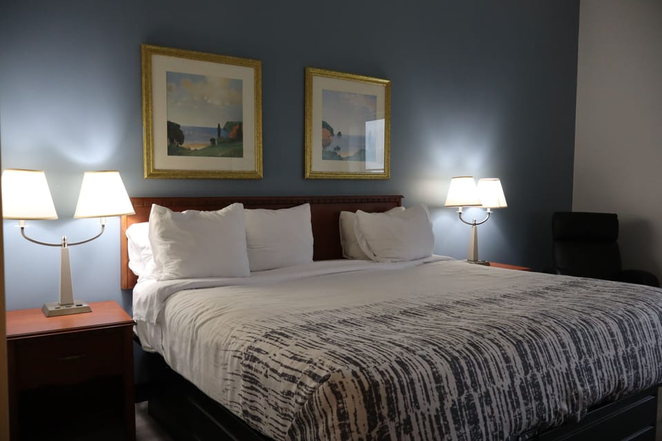 Room, 1 King Bed, Non Smoking, Pool View | Desk, iron/ironing board, free WiFi, bed sheets