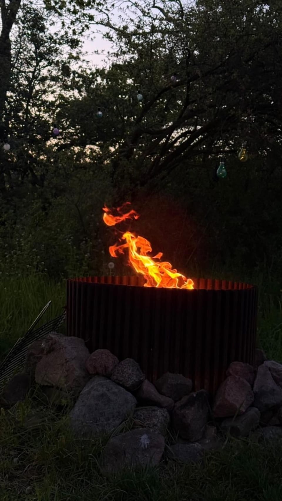 Cabin | Fireplace
