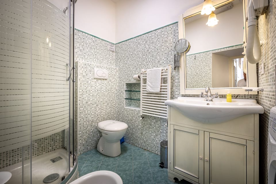 Shower, free toiletries, hair dryer, bidet