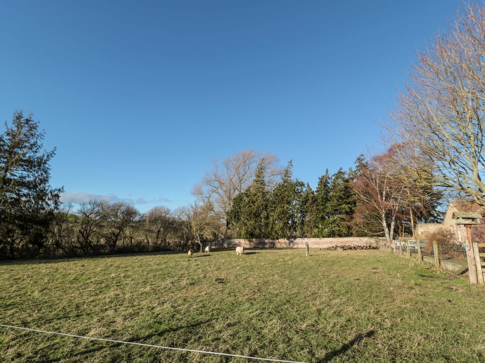 Cottage | Property grounds