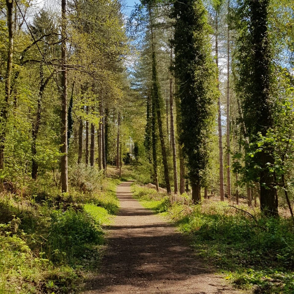 Hiking