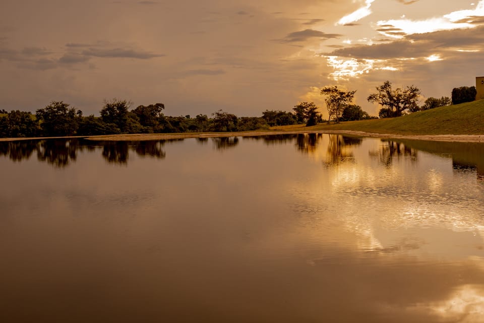 Lake view