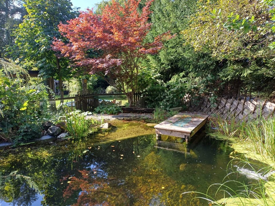 House | Garden