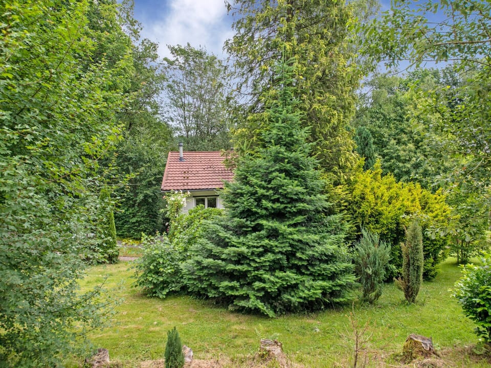 House | View from property