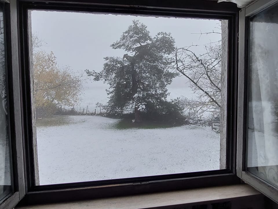 House | View from property