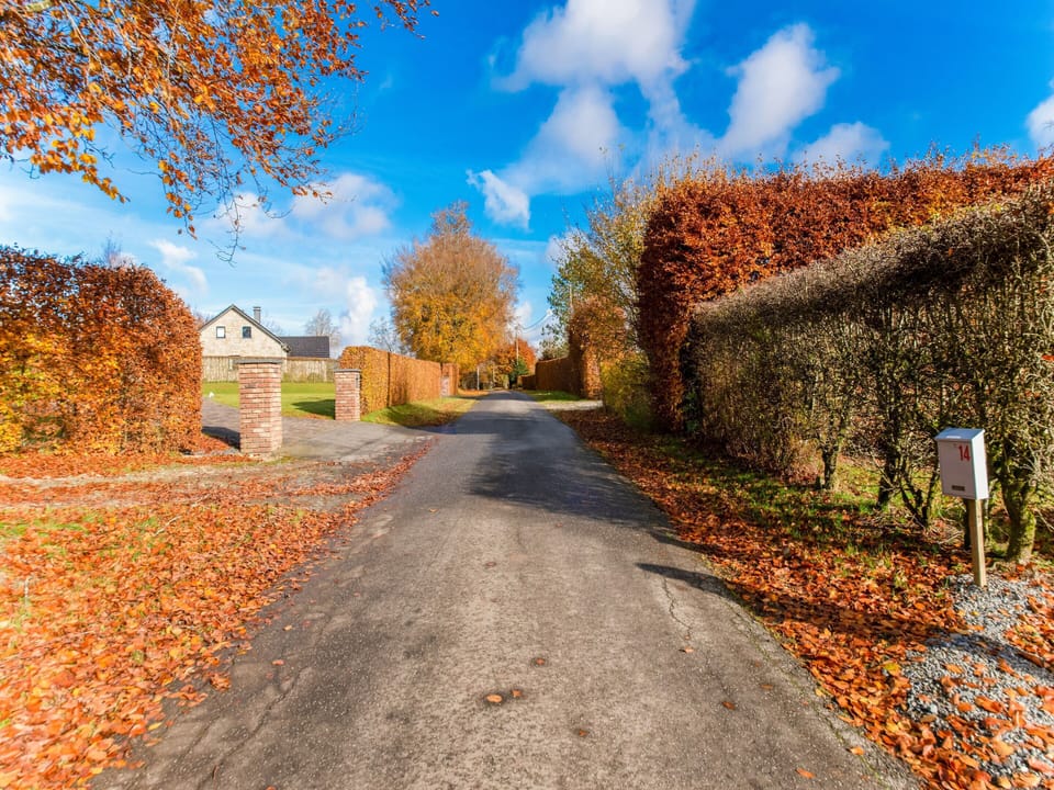 House | View from property