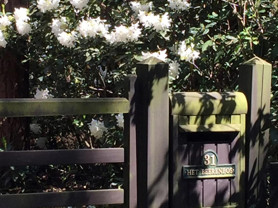 Bungalow | Reception