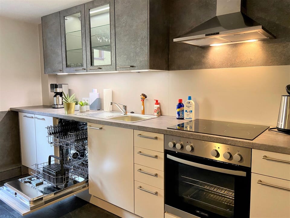 Apartment | Private kitchen | Stovetop