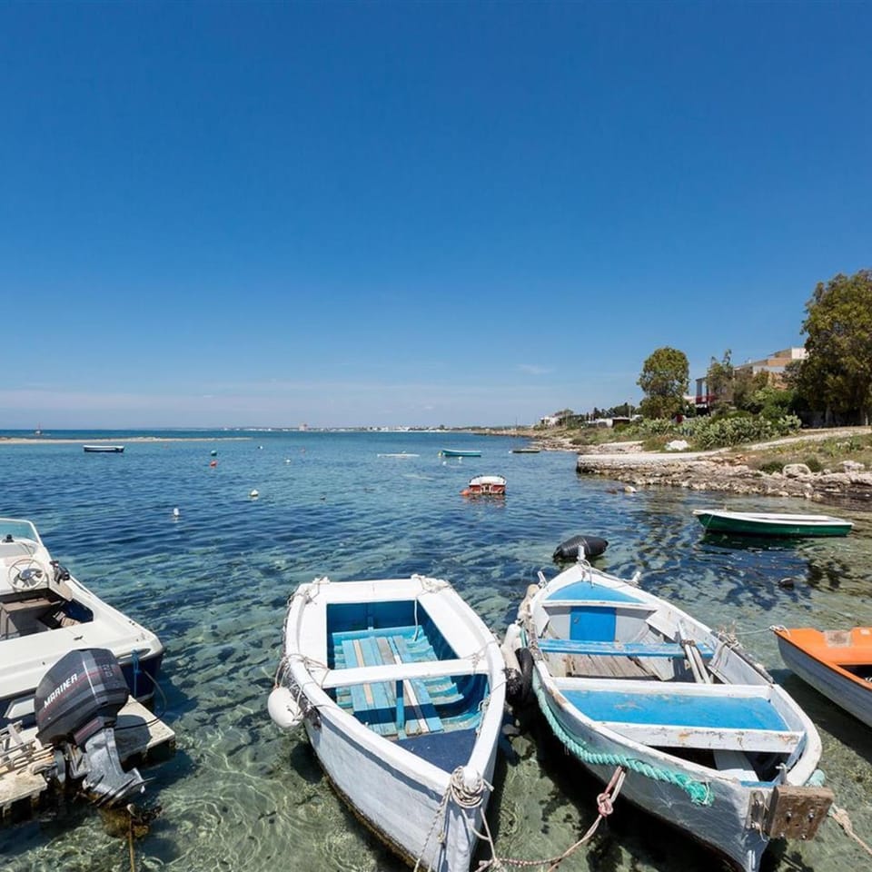 Apartment | 1 bedroom