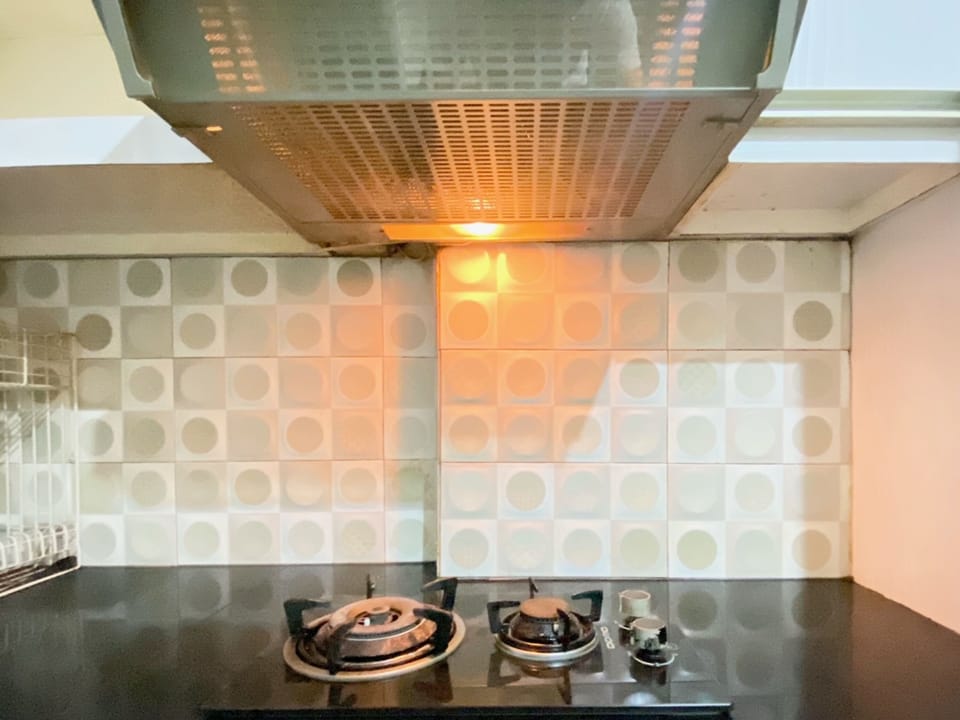 Deluxe Apartment | Private kitchen | Full-size fridge, stovetop, rice cooker