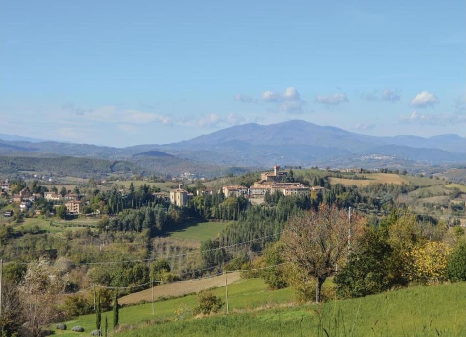 House | View from property