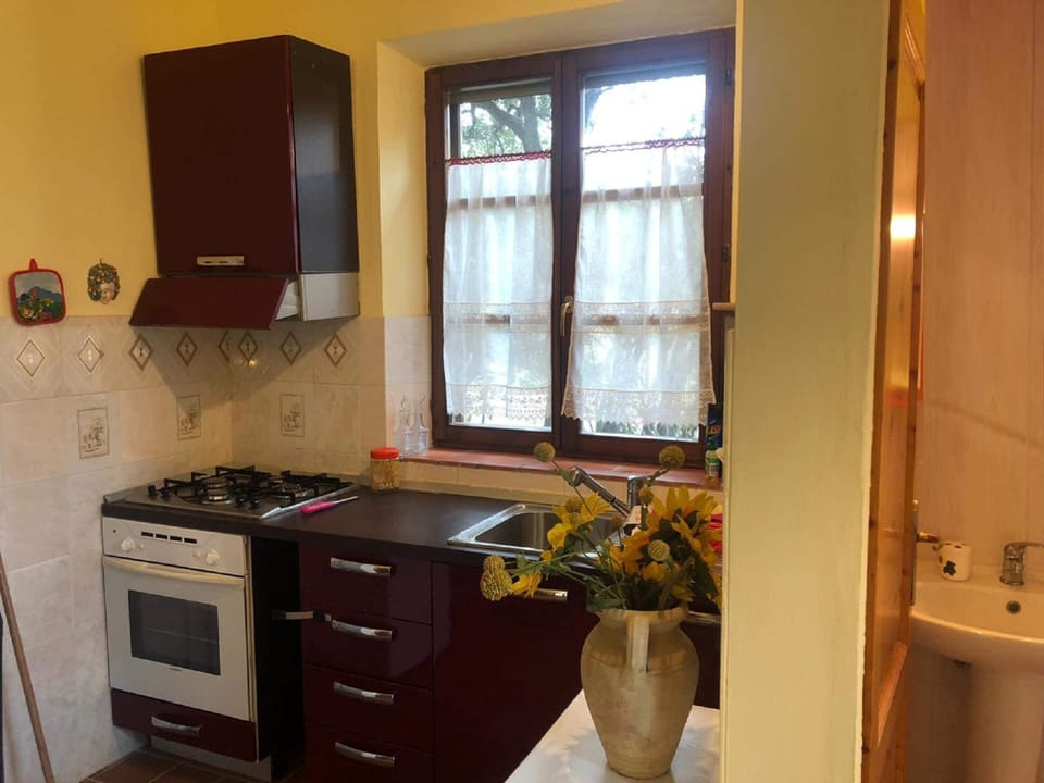 House | Private kitchen | Highchair