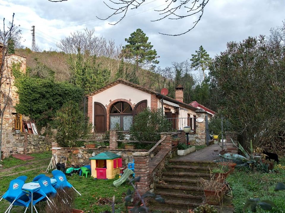 House | Garden