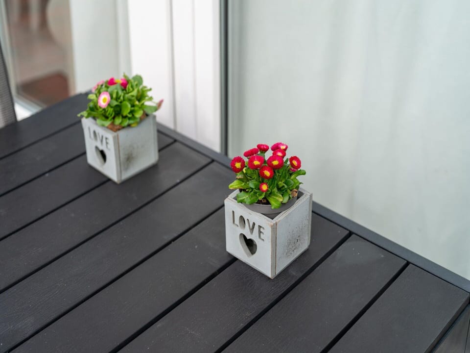 House | Interior detail