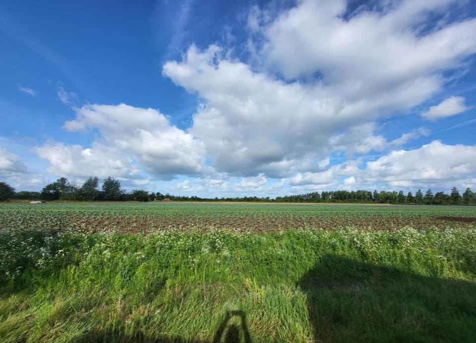 House | View from property