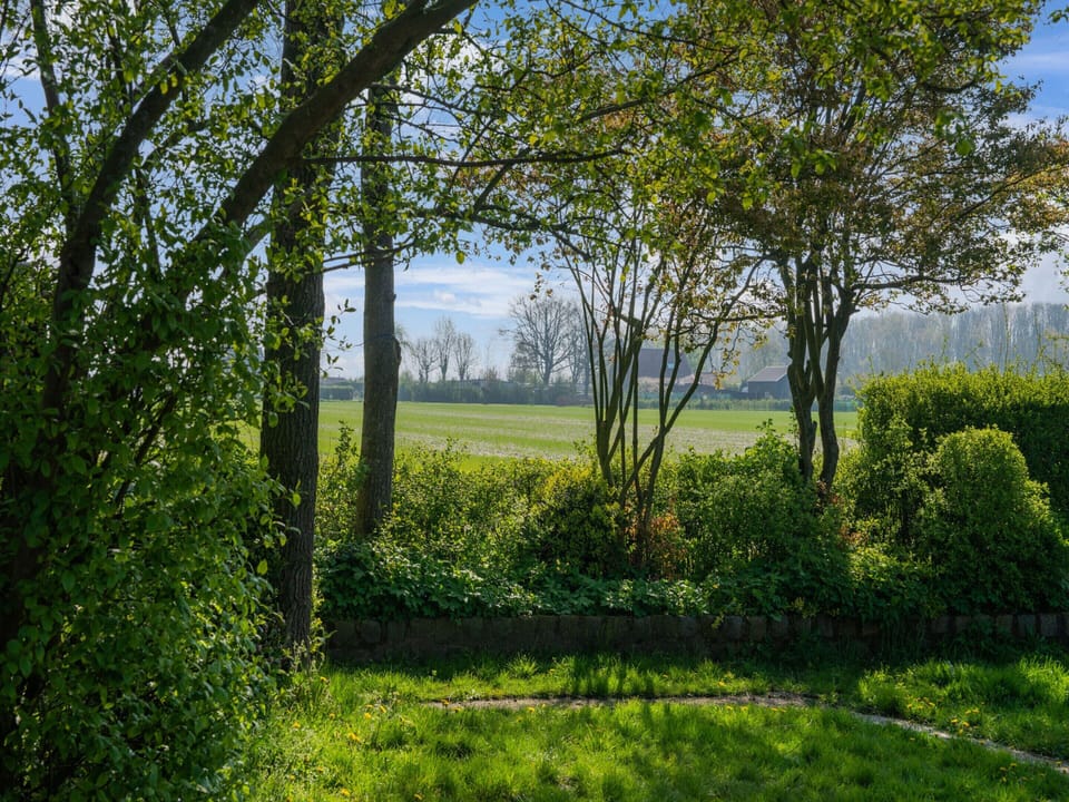 House | View from property