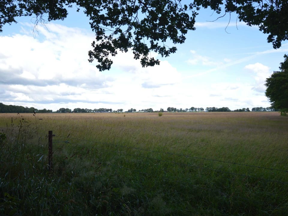 House | View from property