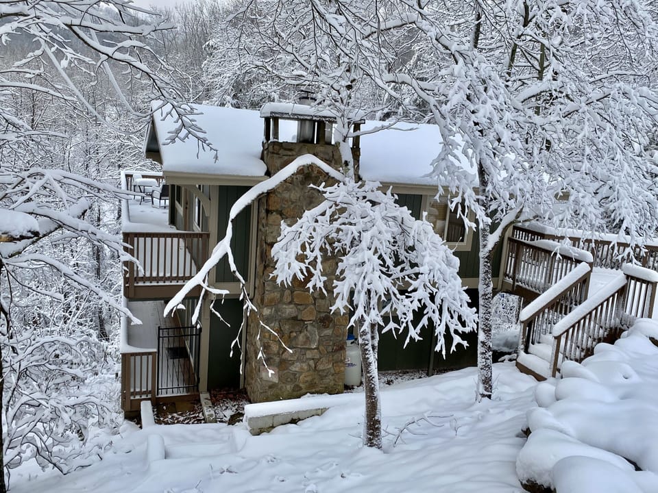 Cabin, 1 Bedroom | Exterior