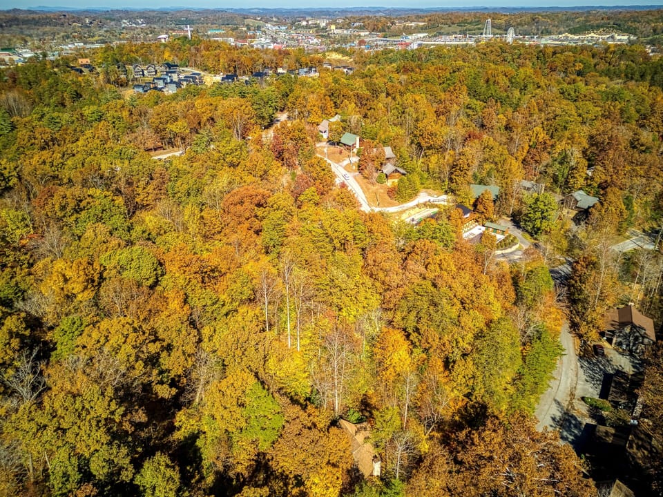 Cabin, Multiple Bedrooms | Aerial view