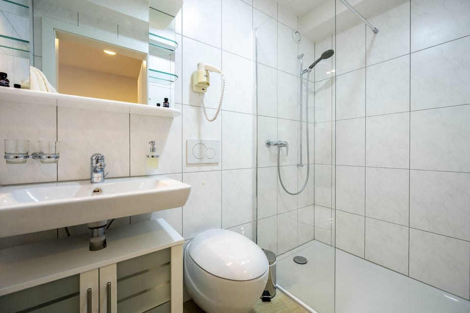 Classic Double Room | Bathroom | Shower, eco-friendly toiletries, hair dryer, towels