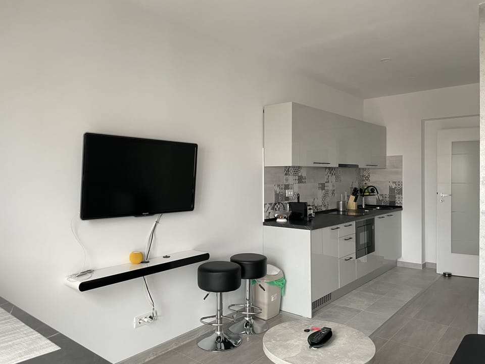 Exclusive Apartment | Living area | 65-inch Smart TV with premium channels, TV, video-game console