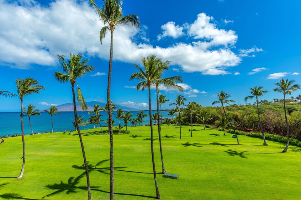 Condo, 1 Bedroom | Golf