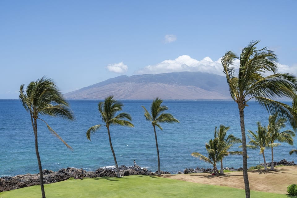 Condo, 1 Bedroom | Golf