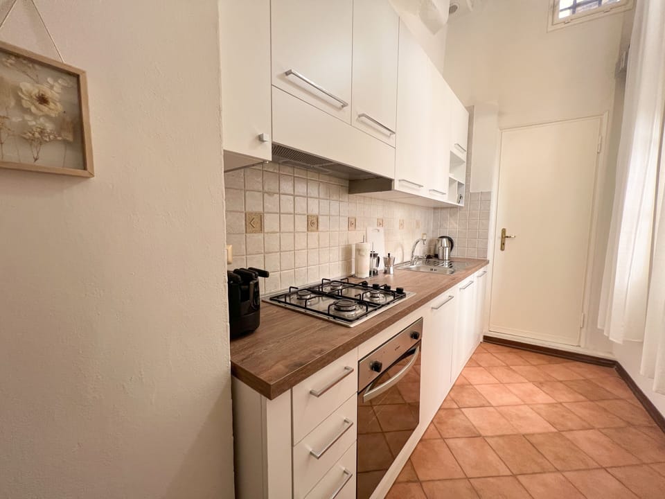 Deluxe Apartment | Private kitchen | Full-size fridge, microwave, oven, stovetop