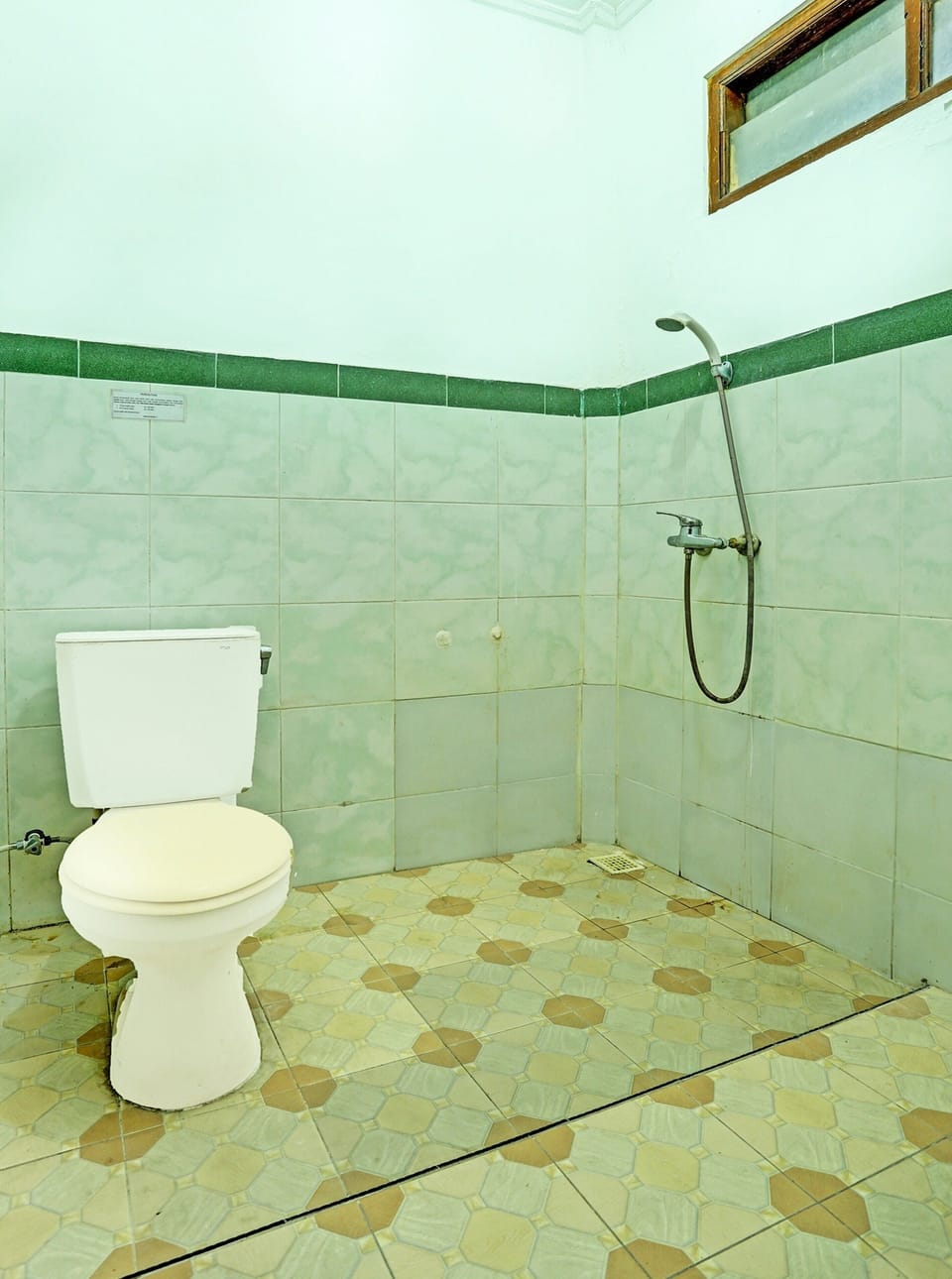 Shower, towels, toilet paper