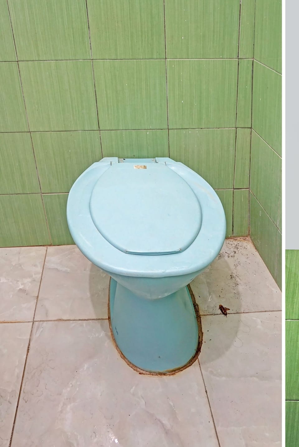 Economy Double Room | Bathroom | Shower, rainfall showerhead, towels, toilet paper