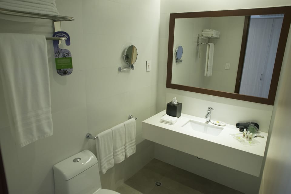 Designer toiletries, hair dryer, towels